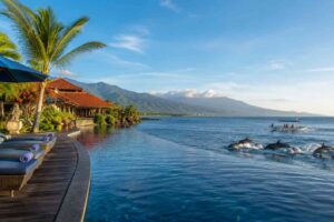 Best hotels offering dolphin watching packages in Lovina