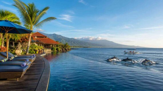 Best hotels offering dolphin watching packages in Lovina