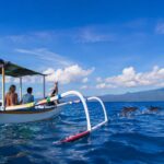 Budget vs Premium Dolphin Tour: Which Should You Choose?