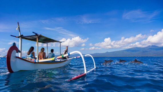 Budget vs Premium Dolphin Tour: Which Should You Choose?