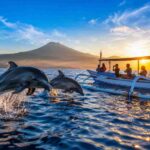 Dolphin watching tour prices and deals in Lovina