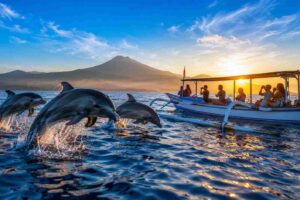 Dolphin watching tour prices and deals in Lovina