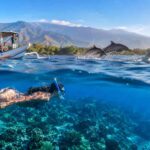 Dolphin watching tours with snorkeling options in Lovina