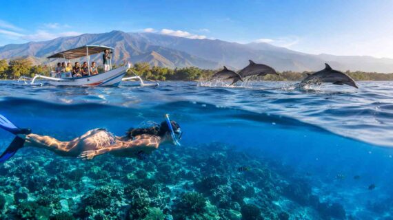 Dolphin watching tours with snorkeling options in Lovina