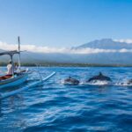 Eco-friendly dolphin watching tours available in Lovina
