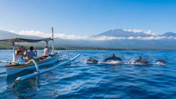Eco-friendly dolphin watching tours available in Lovina