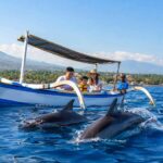 Family-friendly dolphin watching tours in Lovina