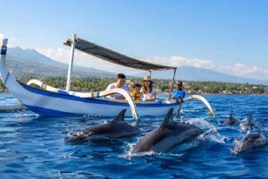 Family-friendly dolphin watching tours in Lovina