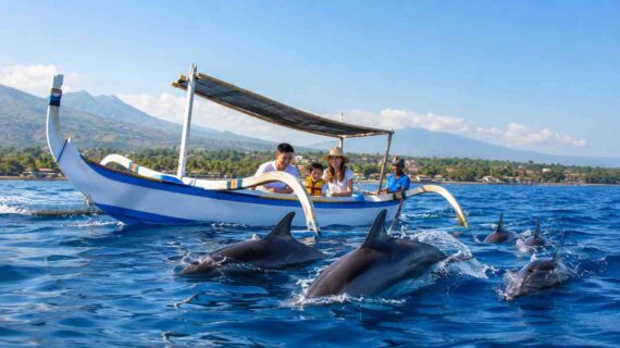 Family-friendly dolphin watching tours in Lovina