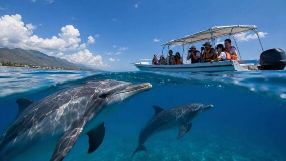 Hidden Costs of Dolphin Tours in Bali