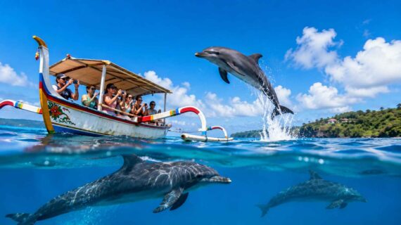 Is Cheap Dolphin Tour Worth It?