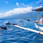 Luxury Dolphin Watching Experiences in Lovina