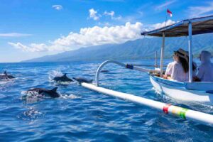 Luxury Dolphin Watching Experiences in Lovina