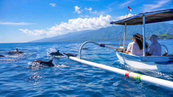 Luxury Dolphin Watching Experiences in Lovina
