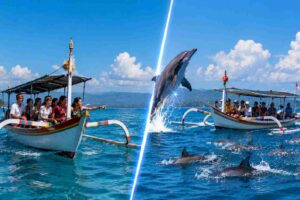 Private vs Shared Dolphin Tour Price Comparison