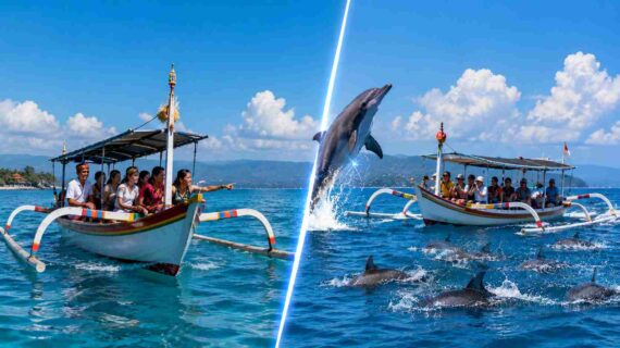 Private vs Shared Dolphin Tour Price Comparison