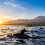 The Beauty of Lovina at Sunrise