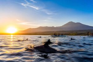 The Beauty of Lovina at Sunrise