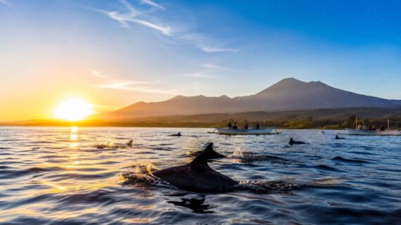The Beauty of Lovina at Sunrise