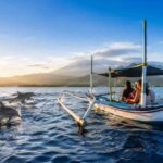 What a Morning Dolphin Tour in Bali Feels Like