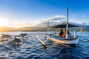 What a Morning Dolphin Tour in Bali Feels Like
