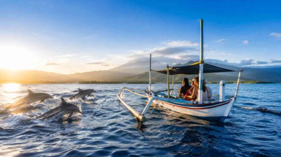 What a Morning Dolphin Tour in Bali Feels Like