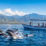 What’s Included in a Lovina Dolphin Tour Price?