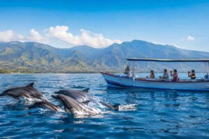 What’s Included in a Lovina Dolphin Tour Price?