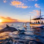 Why Sunrise Is the Best Time for Dolphin Watching