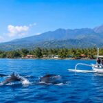 Lovina Bali Highlights