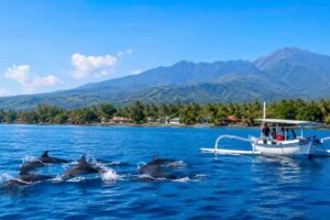Lovina Bali Highlights