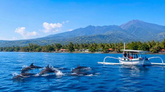 Lovina Bali Highlights
