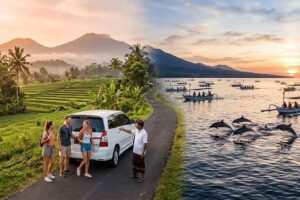 How to Plan a Dolphin Tour from Ubud