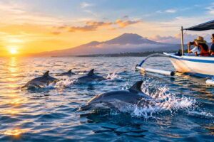 Best Time to Leave for Lovina Dolphin Tour