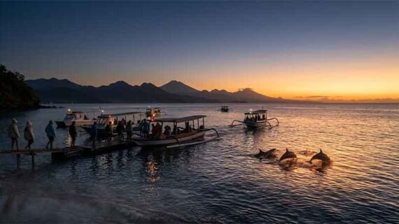 How Early Should You Go for Dolphin Tours?